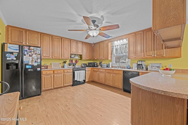 kitchen featuring sink, a textured ceiling, ceiling fan, light hardwood / wood-style floors, and black appliances