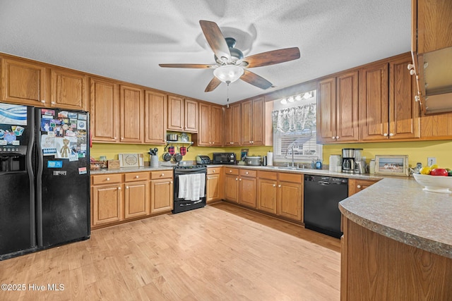 kitchen featuring sink, a textured ceiling, light wood-type flooring, ceiling fan, and black appliances