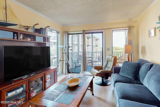 living room featuring hardwood / wood-style flooring and a textured ceiling