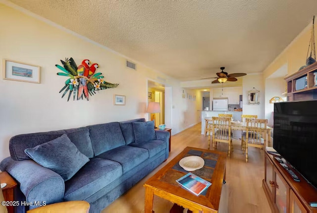 living room featuring ceiling fan, a textured ceiling, and light hardwood / wood-style floors