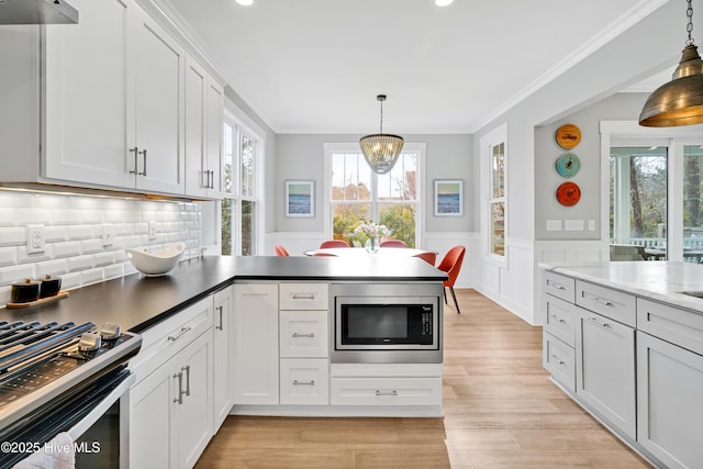 kitchen featuring light wood finished floors, under cabinet range hood, ornamental molding, wainscoting, and stainless steel appliances