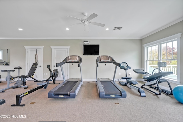 exercise area with baseboards, visible vents, and ornamental molding