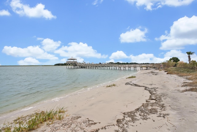 water view featuring a beach view