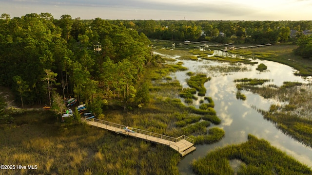 636 Waterstone Dr, Wilmington, NC 28411 - aerial view of a forest and a nearby body of water