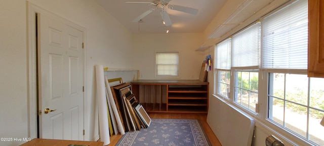 interior space featuring multiple windows, wood-type flooring, and ceiling fan