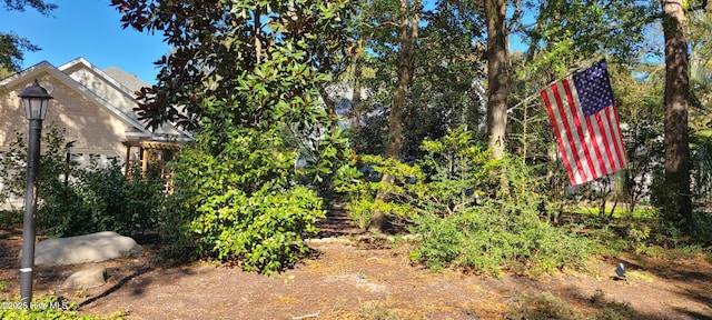 view of yard featuring a garage