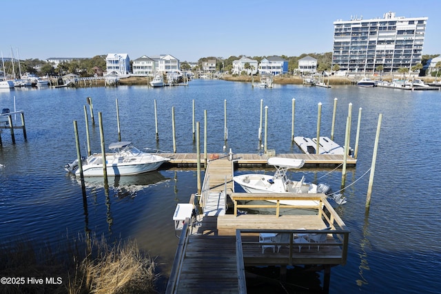 dock area with a water view