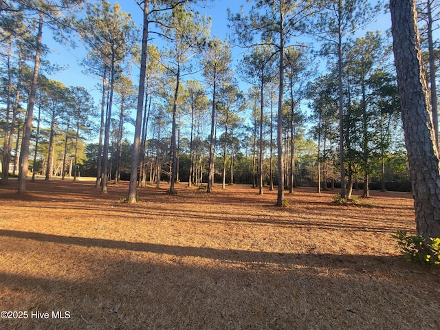 Listing photo 3 for 6614 Carrick Notch SW Unit 16, Ocean Isle Beach NC 28469