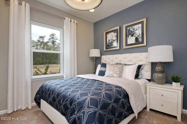 253 Hawks Run Dr Unit 4060, Carolina Shores, NC 28467 - carpeted bedroom featuring baseboards