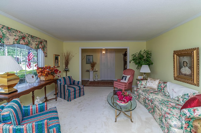 living room with crown molding, carpet, and a textured ceiling