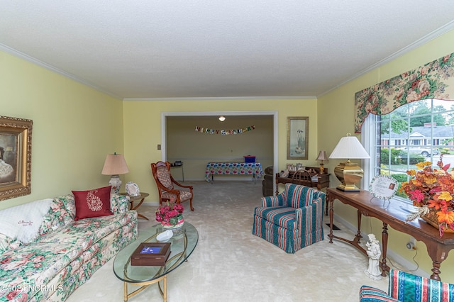 carpeted living room featuring crown molding and a textured ceiling