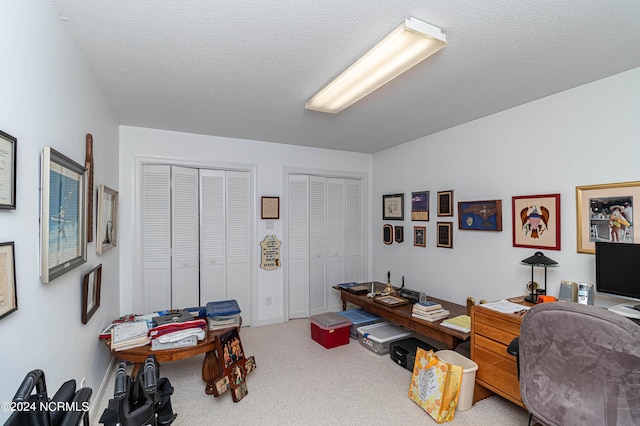 office space featuring a textured ceiling and carpet flooring