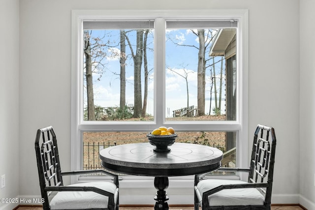 dining room featuring a healthy amount of sunlight