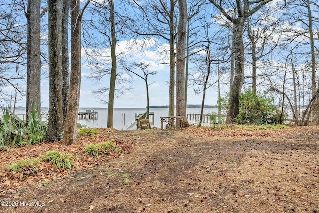 view of yard featuring a water view