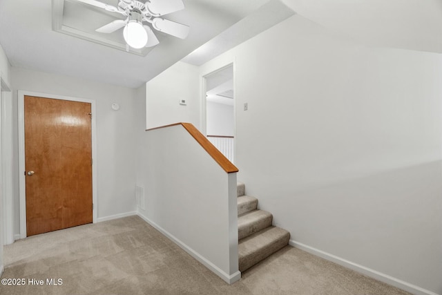 stairway featuring carpet floors and ceiling fan