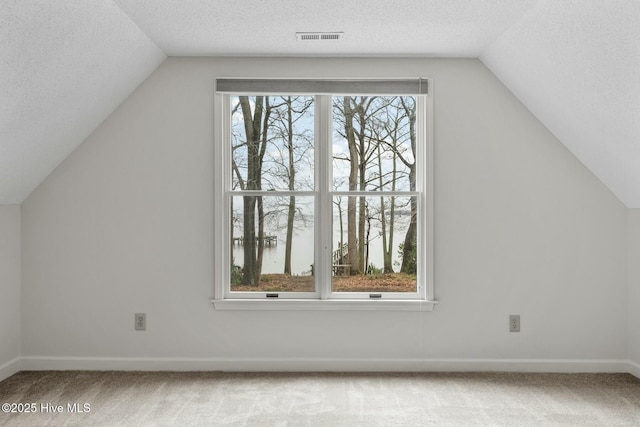 additional living space featuring lofted ceiling, carpet flooring, and a textured ceiling