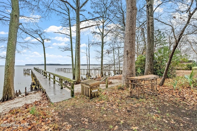 view of yard with a water view and a boat dock