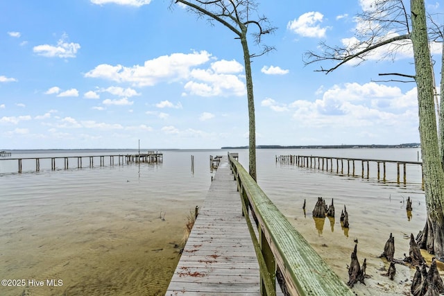 dock area featuring a water view