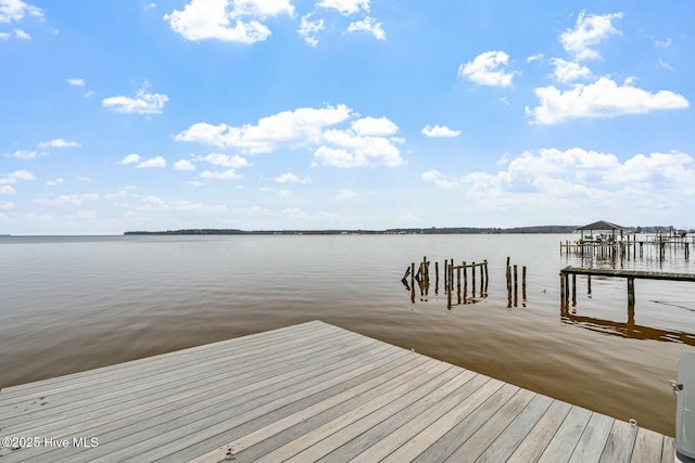 dock area featuring a water view