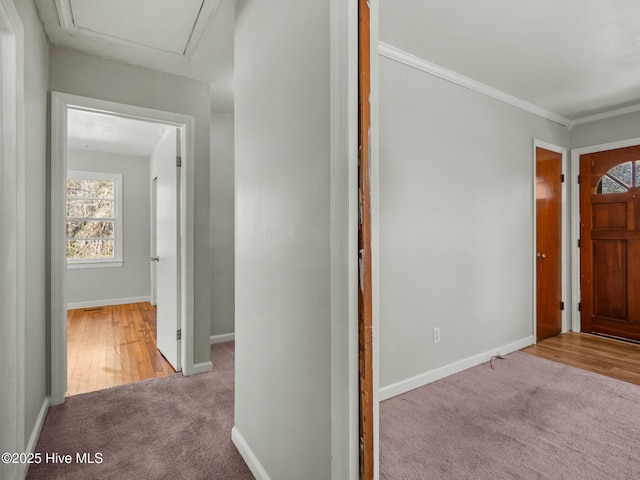 entrance foyer featuring ornamental molding and light colored carpet