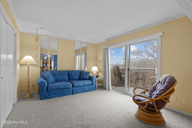 living room featuring a textured ceiling and carpet