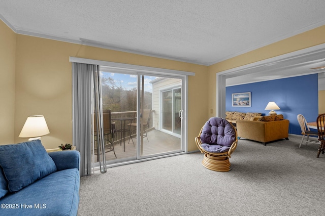 living room with carpet floors and a textured ceiling