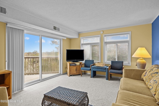 carpeted living room with a textured ceiling