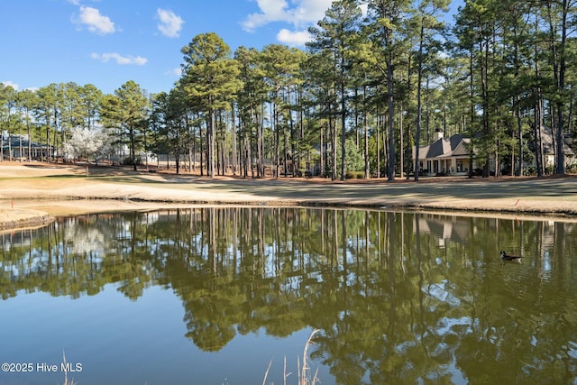 view of water feature