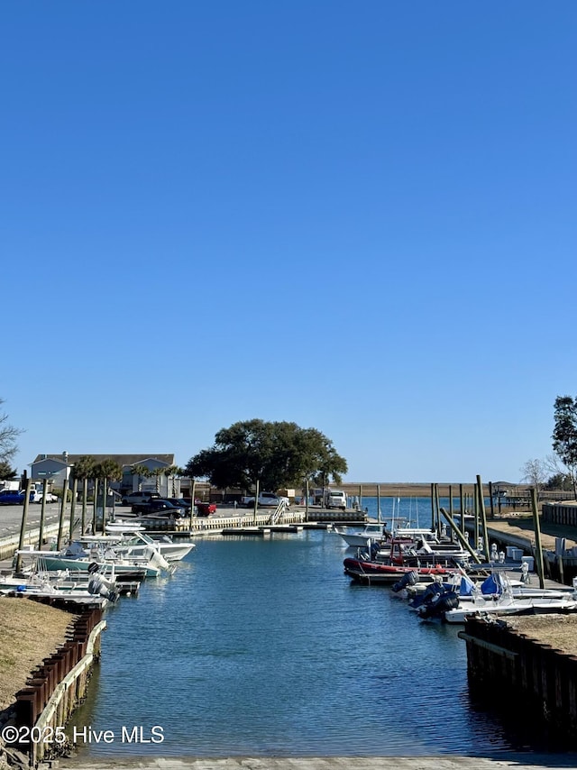 dock area featuring a water view