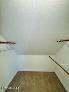 spacious closet with lofted ceiling and carpet