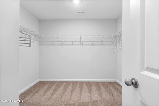 walk in closet featuring carpet floors and visible vents