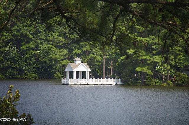 water view with a view of trees and a gazebo