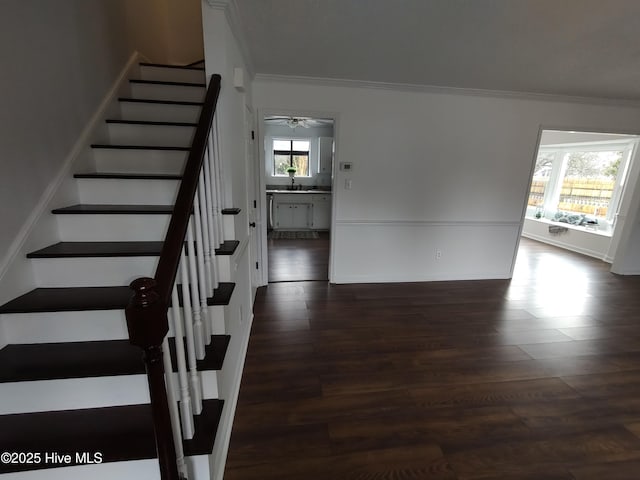 stairway with hardwood / wood-style flooring, crown molding, sink, and ceiling fan