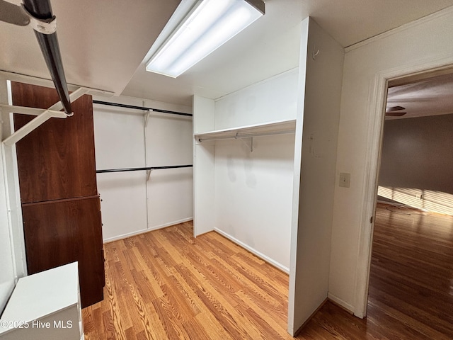 spacious closet with light hardwood / wood-style flooring