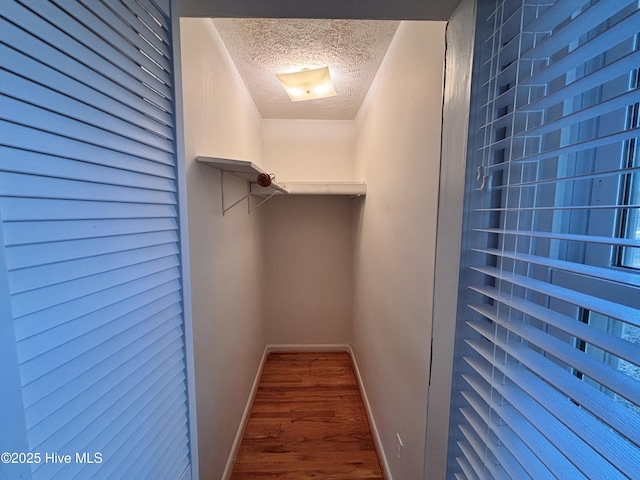 spacious closet featuring wood-type flooring