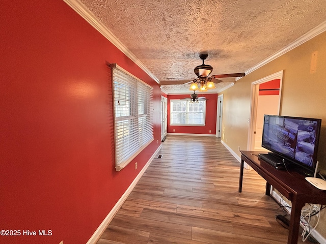 corridor with crown molding, wood-type flooring, and a textured ceiling