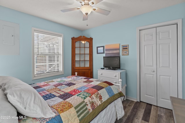 bedroom with ceiling fan, dark hardwood / wood-style flooring, and a closet