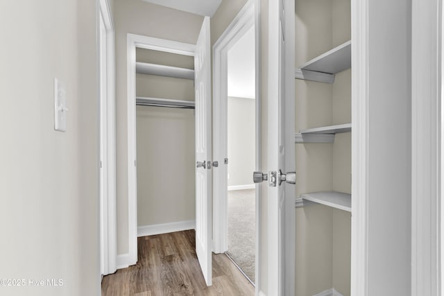 view of closet