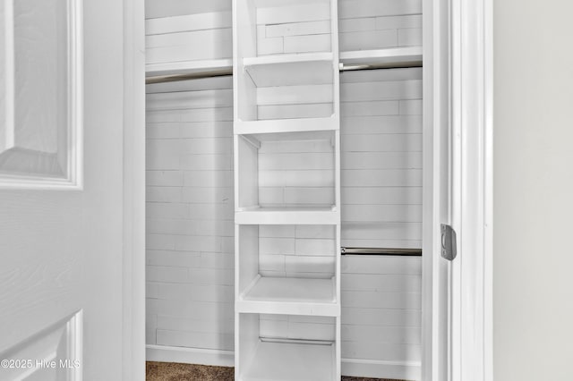 view of closet