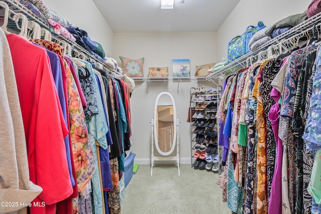 walk in closet featuring carpet