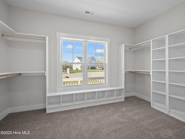 spacious closet featuring visible vents and carpet floors