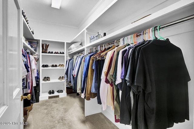 spacious closet with carpet