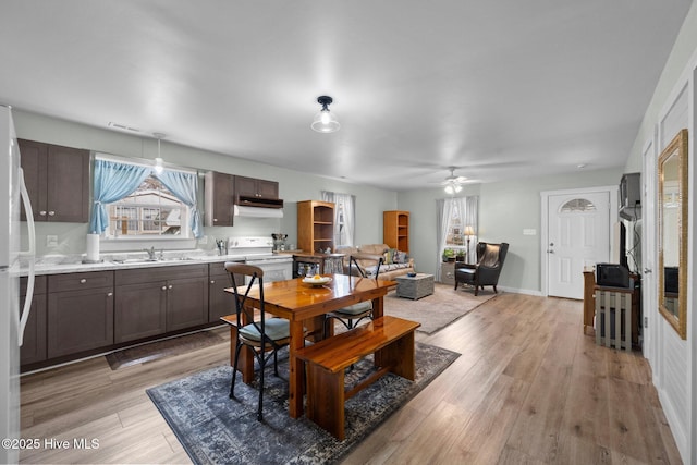 dining room with sink, light hardwood / wood-style floors, and ceiling fan