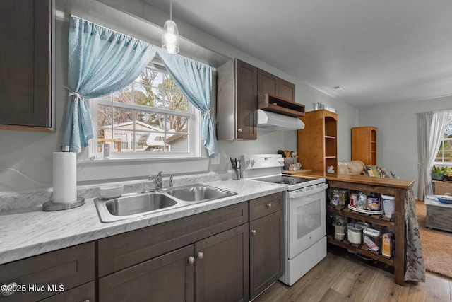 kitchen featuring sink, decorative light fixtures, light hardwood / wood-style flooring, dark brown cabinets, and white range with electric stovetop