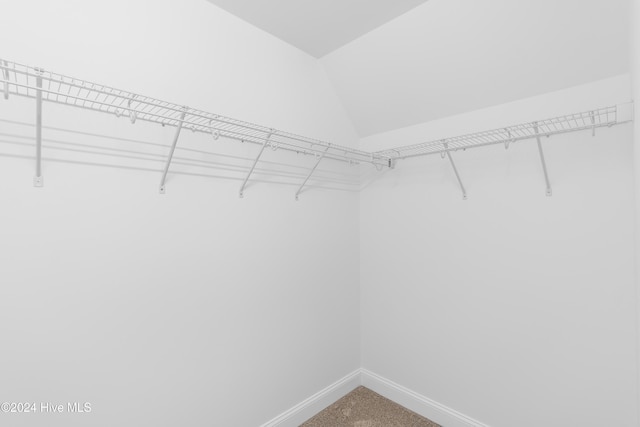 spacious closet with vaulted ceiling and carpet