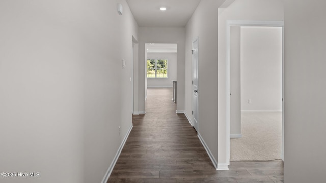 corridor featuring dark wood-type flooring