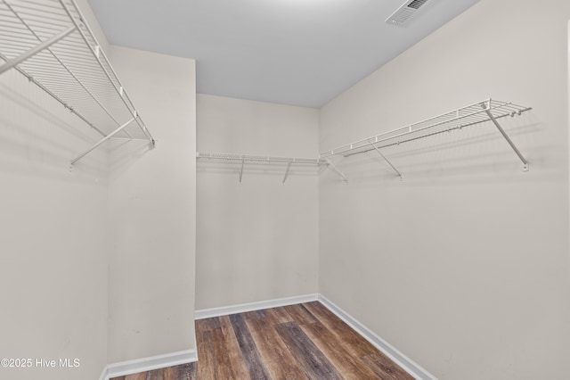 300 William Sharp Way, Jacksonville, NC 28546 - walk in closet with wood finished floors