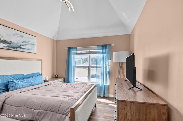 300 William Sharp Way, Jacksonville, NC 28546 - bedroom featuring wood finished floors and high vaulted ceiling