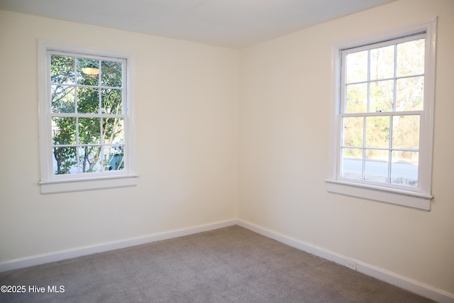 spare room with carpet