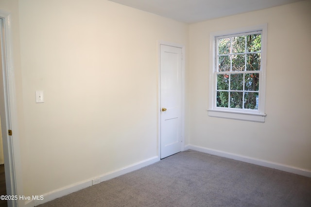 spare room featuring carpet flooring and a wealth of natural light